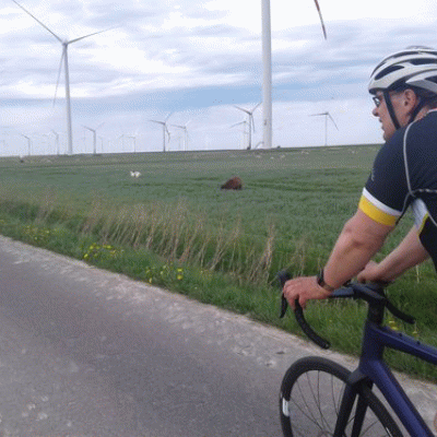Die ersten Marathons, ein kleiner Erfahrungsbericht.
