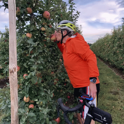 Weser-Elbe-Radmarathon