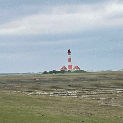 Nordseemarathon Husum, NordCup und RMCD
